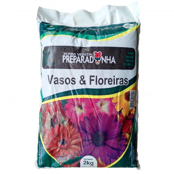   floricultura eco flora, floricultura bh,  flora em bh, orqu�deas bh, plantas em bh, paisagismo em bh, decora�ao em bh, vasos decorativos em bh, calandiva em bh, presente em bh, planta pendente em bh, plantas de sol pleno, floricultura eco flora, floricultura bh,  flora em bh, orquideas bh, plantas em bh, paisagismo em bh, substrato em bh, vaso resina bh,vasos decorativos em bh, ECO FLORA FLORICULTURA E JARDINAGEM LTDA 