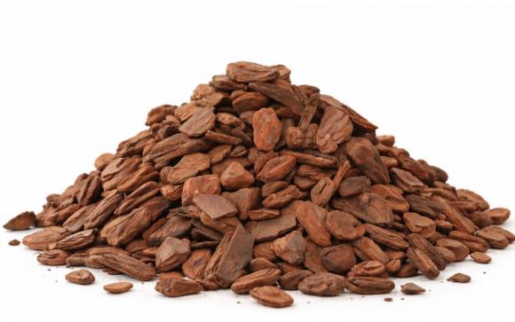   floricultura eco flora, floricultura bh,  flora em bh, orqu�deas bh, plantas em bh, paisagismo em bh, decora�ao em bh, vasos decorativos em bh, calandiva em bh, presente em bh, planta pendente em bh, acess�rio para jardim em bh, floricultura eco flora, floricultura belo horizonte,  flora em belo horizonte, orquideas bh, plantas em bh, paisagismo em bh, substrato em bh, vaso resina bh,vasos decorativos em bh, terra belo horizonte, ECO FLORA FLORICULTURA E JARDINAGEM LTDA 