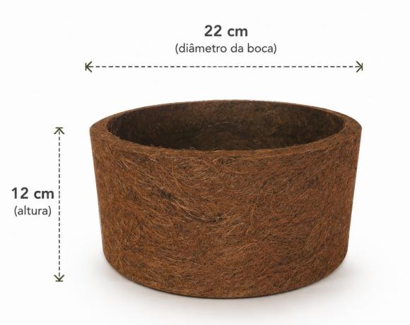   floricultura eco flora, floricultura bh,  flora em bh, orqu�deas bh, plantas em bh, paisagismo em bh, decora�ao em bh, vasos decorativos em bh, calandiva em bh, presente em bh, planta pendente em bh, plantas de sol pleno, floricultura eco flora, floricultura belo horizonte,  flora em belo horizonte, orquideas bh, plantas em bh, paisagismo em bh, substrato em bh, vaso resina bh,vasos decorativos em bh, terra belo horizonte, ECO FLORA FLORICULTURA E JARDINAGEM LTDA 