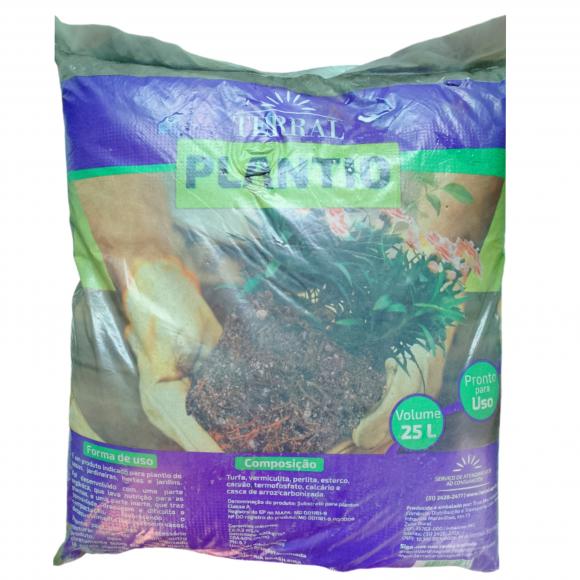   floricultura eco flora, floricultura bh,  flora em bh, orqu�deas bh, plantas em bh, paisagismo em bh, decora�ao em bh, vasos decorativos em bh, calandiva em bh, presente em bh, planta pendente em bh, plantas de sol pleno, floricultura eco flora, floricultura bh,  flora em bh, orquideas bh, plantas em bh, paisagismo em bh, substrato em bh, vaso resina bh,vasos decorativos em bh, ECO FLORA FLORICULTURA E JARDINAGEM LTDA 