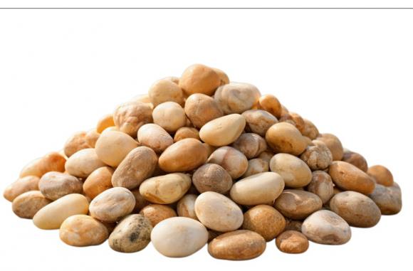   floricultura eco flora, floricultura bh,  flora em bh, orqu�deas bh, plantas em bh, paisagismo em bh, decora�ao em bh, vasos decorativos em bh, ferramenta bh, SEIXO RIO, floricultura eco flora, floricultura belo horizonte,  flora em belo horizonte, orquideas bh, plantas em bh, paisagismo em bh, substrato em bh, vaso resina bh,vasos decorativos em bh, terra belo horizonte, ECO FLORA FLORICULTURA E JARDINAGEM LTDA 