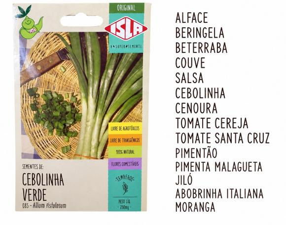   floricultura eco flora, floricultura bh,  flora em bh, orqu�deas bh, plantas em bh, paisagismo em bh, decora�ao em bh, vasos decorativos em bh, calandiva em bh, presente em bh, planta pendente em bh, plantas de sol pleno, floricultura eco flora, floricultura belo horizonte,  flora em belo horizonte, orquideas bh, plantas em bh, paisagismo em bh, substrato em bh, vaso resina bh,vasos decorativos em bh, terra belo horizonte, ECO FLORA FLORICULTURA E JARDINAGEM LTDA 