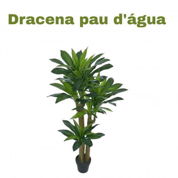 floricultura eco flora, floricultura belo horizonte,  flora em belo horizonte, orquideas bh, plantas em bh, paisagismo em bh, substrato em bh, vaso resina bh,vasos decorativos em bh, terra belo horizonte,