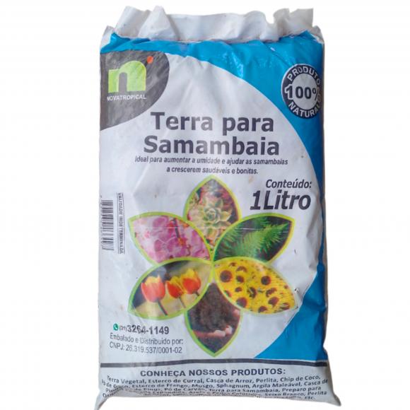   floricultura eco flora, floricultura bh,  flora em bh, orqu�deas bh, plantas em bh, paisagismo em bh, decora�ao em bh, vasos decorativos em bh, calandiva em bh, presente em bh, planta pendente em bh, plantas de sol pleno, floricultura eco flora, floricultura bh,  flora em bh, orquideas bh, plantas em bh, paisagismo em bh, substrato em bh, vaso resina bh,vasos decorativos em bh, ECO FLORA FLORICULTURA E JARDINAGEM LTDA 