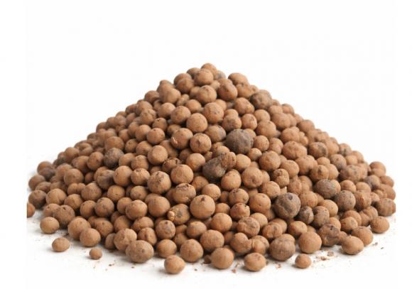   floricultura eco flora, floricultura bh,  flora em bh, orqu�deas bh, plantas em bh, paisagismo em bh, decora�ao em bh, vasos decorativos em bh, arvores em bh, floricultura eco flora, floricultura belo horizonte,  flora em belo horizonte, orquideas bh, plantas em bh, paisagismo em bh, substrato em bh, vaso resina bh,vasos decorativos em bh, terra belo horizonte, ECO FLORA FLORICULTURA E JARDINAGEM LTDA 