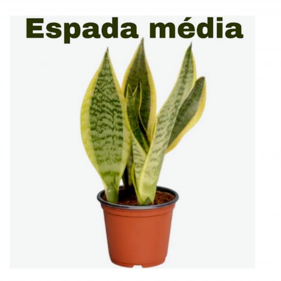   floricultura eco flora, floricultura belo horizonte,  flora em belo horizonte, orquideas bh, plantas em bh, paisagismo em bh, substrato em bh, vaso resina bh,vasos decorativos em bh, terra belo horizonte, ECO FLORA FLORICULTURA E JARDINAGEM LTDA