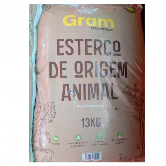   floricultura eco flora, floricultura bh,  flora em bh, orqu�deas bh, plantas em bh, paisagismo em bh, decora�ao em bh, vasos decorativos em bh, floricultura eco flora, floricultura bh,  flora em bh, orquideas bh, plantas em bh, paisagismo em bh, substrato em bh, vaso resina bh,vasos decorativos em bh, ECO FLORA FLORICULTURA E JARDINAGEM LTDA 