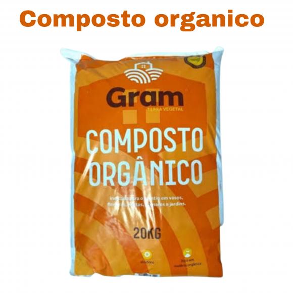 floricultura eco flora, floricultura bh,  flora em bh, orqu�deas bh, plantas em bh, paisagismo em bh, decora�ao em bh, vasos decorativos em bh, arvores em bh ,