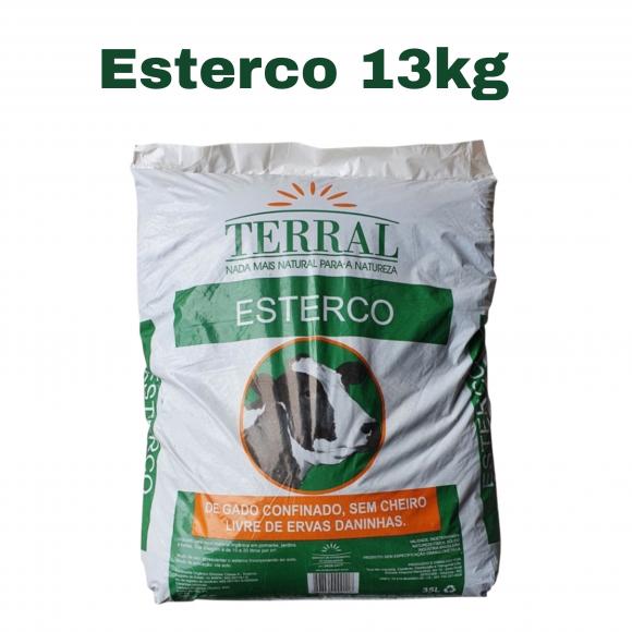 floricultura eco flora, floricultura belo horizonte,  flora em belo horizonte, orquideas bh, plantas em bh, paisagismo em bh, substrato em bh, vaso resina bh,vasos decorativos em bh, terra belo horizonte,