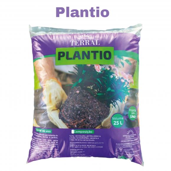 floricultura eco flora, floricultura bh,  flora em bh, orqu�deas bh, plantas em bh, paisagismo em bh, decora�ao em bh, vasos decorativos em bh, calandiva em bh, presente em bh, planta pendente em bh, plantas de sol pleno ,
