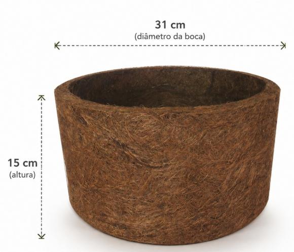   floricultura eco flora, floricultura bh,  flora em bh, orqu�deas bh, plantas em bh, paisagismo em bh, decora�ao em bh, vasos decorativos em bh, calandiva em bh, presente em bh, planta pendente em bh, plantas de sol pleno, floricultura eco flora, floricultura belo horizonte,  flora em belo horizonte, orquideas bh, plantas em bh, paisagismo em bh, substrato em bh, vaso resina bh,vasos decorativos em bh, terra belo horizonte, ECO FLORA FLORICULTURA E JARDINAGEM LTDA 