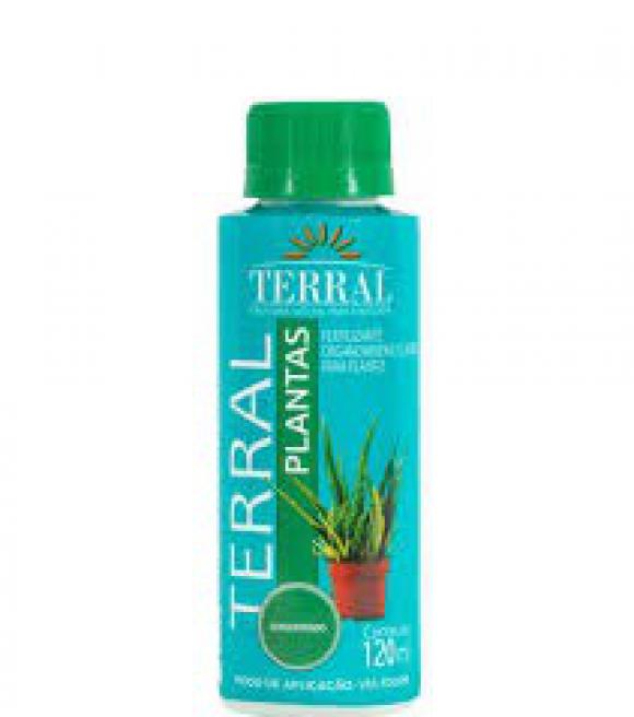 floricultura eco flora, floricultura bh,  flora em bh, orqudeas bh, plantas em bh, paisagismo em bh, decoraao em bh, vasos decorativos em bh, planta interior em bh, maranta em bh ,