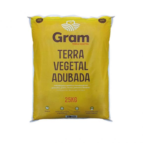 floricultura eco flora, floricultura bh,  flora em bh, orqudeas bh, plantas em bh, paisagismo em bh, decoraao em bh, vasos decorativos em bh, calandiva em bh, presente em bh, planta pendente em bh, plantas de sol pleno,terra gram terra ,