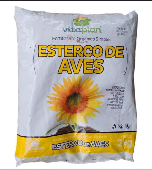 floricultura eco flora, floricultura bh,  flora em bh, orqu�deas bh, plantas em bh, paisagismo em bh, decora�ao em bh, vasos decorativos em bh ,
