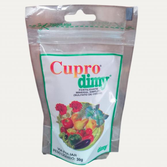   floricultura eco flora, floricultura bh,  flora em bh, orqu�deas bh, plantas em bh, paisagismo em bh, decora�ao em bh, vasos decorativos em bh, calandiva em bh, presente em bh, planta pendente em bh, plantas de sol pleno, floricultura eco flora, floricultura bh,  flora em bh, orquideas bh, plantas em bh, paisagismo em bh, substrato em bh, vaso resina bh,vasos decorativos em bh, ECO FLORA FLORICULTURA E JARDINAGEM LTDA 