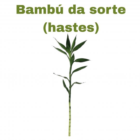   floricultura eco flora, floricultura belo horizonte,  flora em belo horizonte, orquideas bh, plantas em bh, paisagismo em bh, substrato em bh, vaso resina bh,vasos decorativos em bh, terra belo horizonte, ECO FLORA FLORICULTURA E JARDINAGEM LTDA