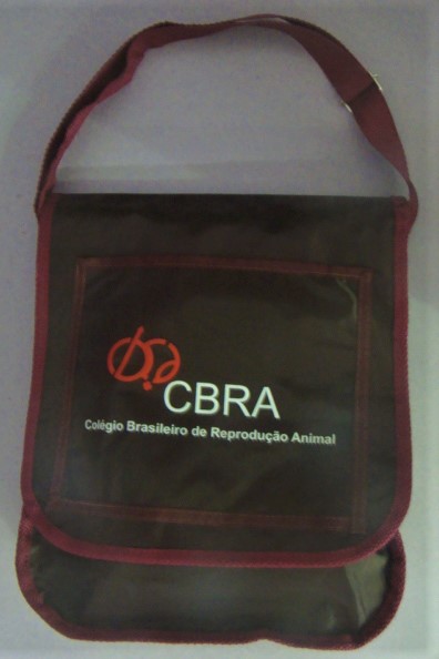  Bolsa PVC, bolsa de plstico, bolsa em nylon, capanga, bolsa, bolsa com alca grande, bolsa tiracolo, bolsa personalizada, bolsa com aba, bolsa sob medida, fabrica de bolsas, envelope plastico, fichrio, crach, porta documento, brindes personalisados, pasta eventos, cardpio, caneta, pasta ziper japones, brindes para evento, pasta personalizada, envelope, Plastefacto 